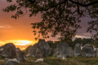 Aube sur Kermario — photographie des mégalithes de Carnac de Franck Besrest