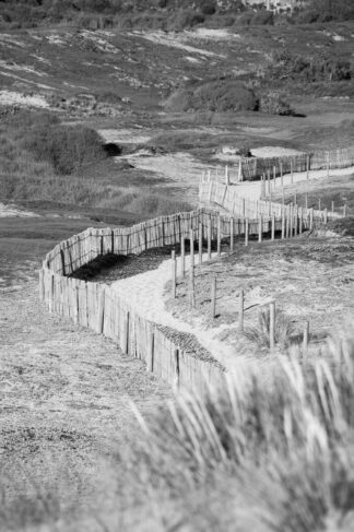 Dune de Plouharnel, le chemin sinueux — photographie de paysage breton de Franck Besrest
