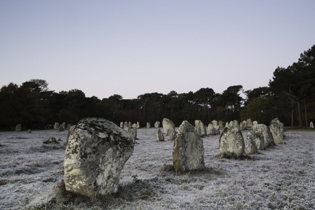 Givre matinal sur les menhirs de Kerlescan à Carnac en hiver