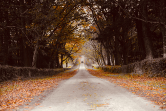 Kercado la route du manoir à Carnac — photographie de paysage breton de Franck Besrest