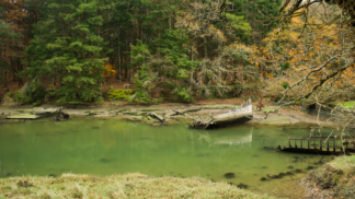 cimetière aux bateaux — photographie de paysage breton de Franck Besrest