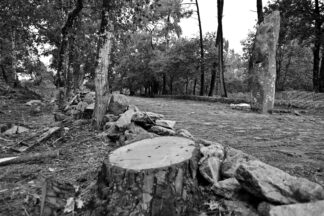 Le Géant du Manio, mémoire blessée — photographie de paysage breton de Franck Besrest