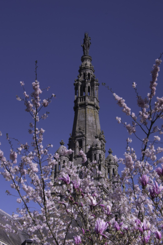 Le clocher fleuri de printemps — photographie du patrimoine breton de Franck Besrest