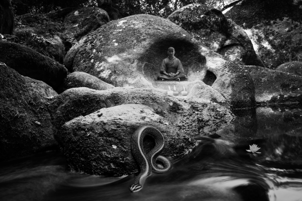 Méditation en forêt