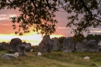 Menhirs et moutons, coucher de soleil — photographie des mégalithes de Carnac de Franck Besrest