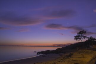 Pin parasol, crépuscule sur la baie — photographie de paysage breton de Franck Besrest