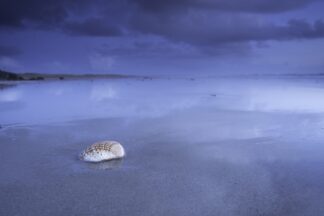Plouharnel le coquillage perdu — photographie de paysage breton de Franck Besrest