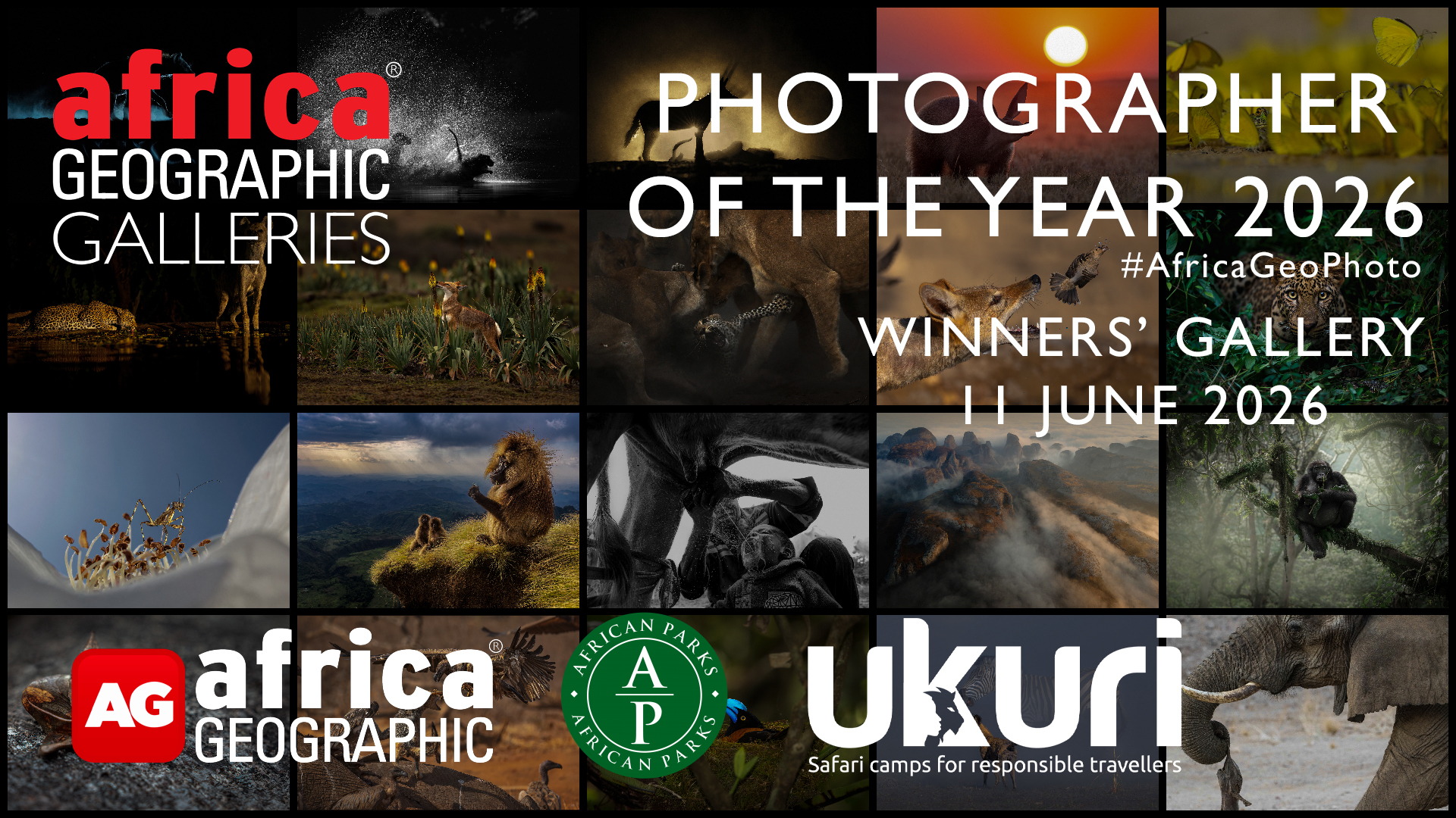 Capture du site Africa Geographic : galerie des laureats du concours Photographer of the Year 2026