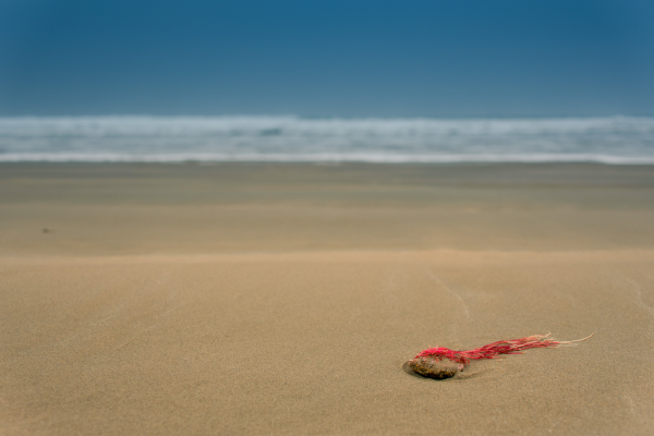 Minimaliste — Plage de Plouharnel