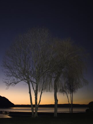 les bouleaux du lac leman — photographie de paysage breton de Franck Besrest