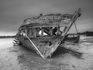 Les ossements de la mer