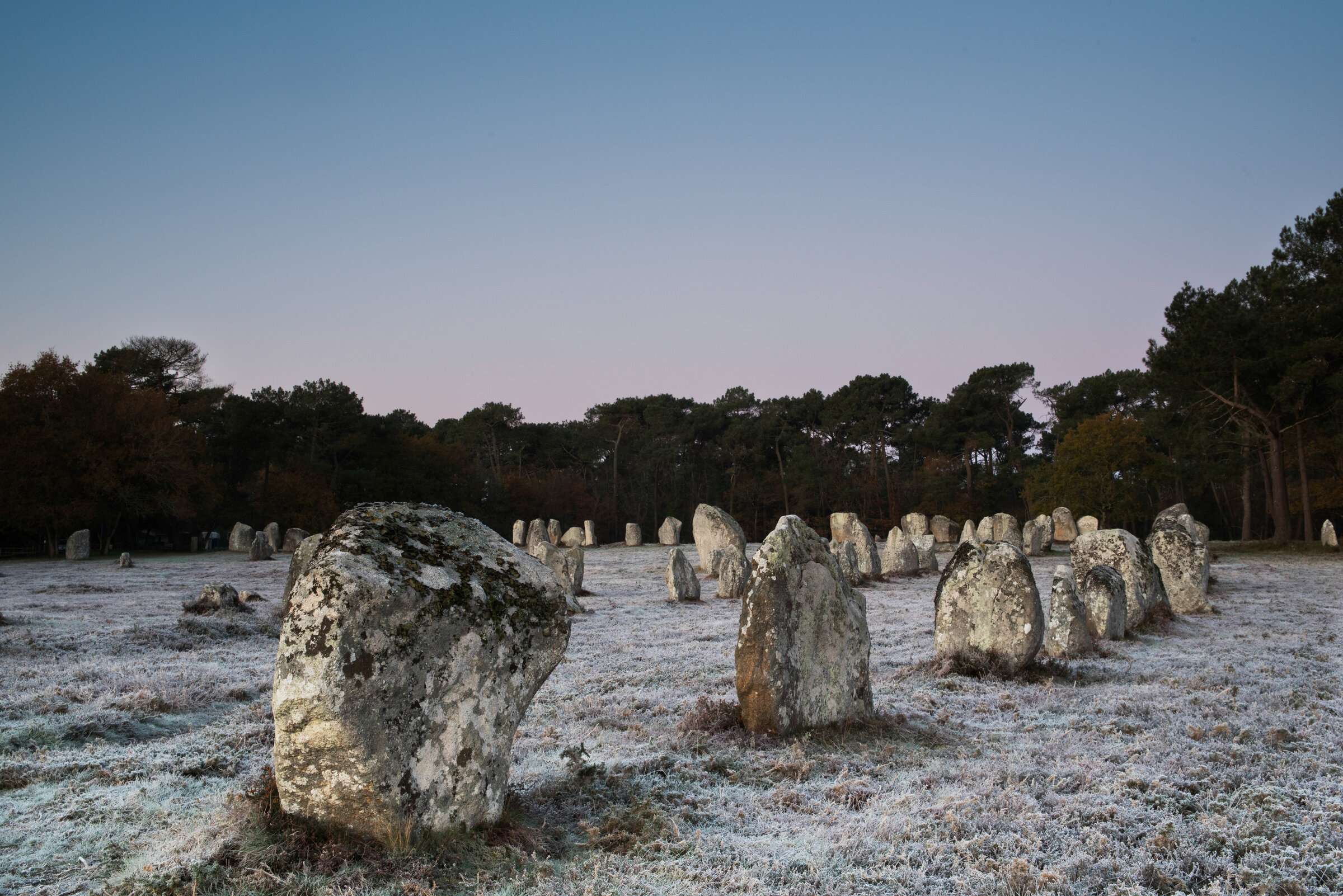 matin frais dans les alignements — photographie des mégalithes de Carnac de Franck Besrest