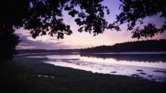 riviere du bono saint avoye pluneret — photographie de paysage breton de Franck Besrest